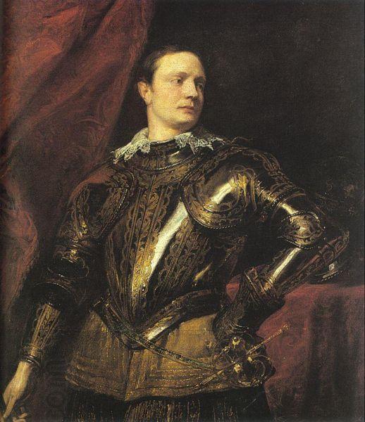 Anthony Van Dyck Portrait of a Young General China oil painting art